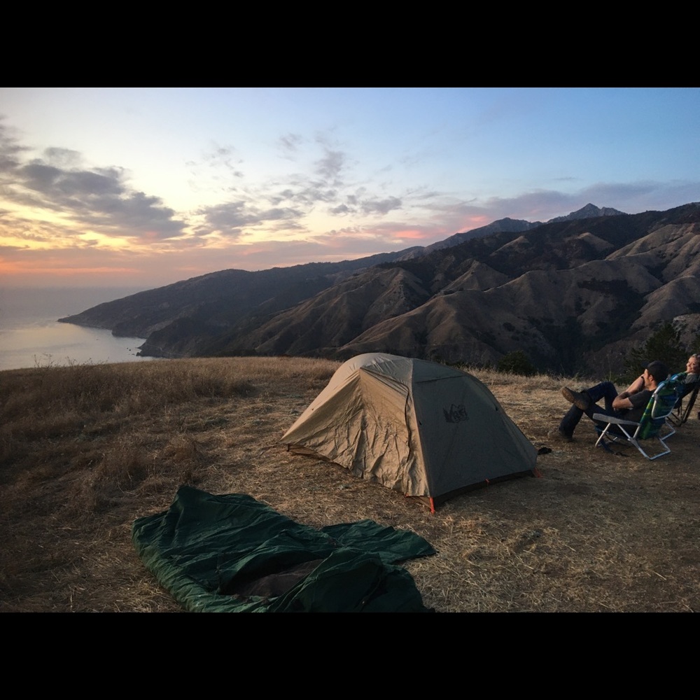 Meet your Posher, Molly